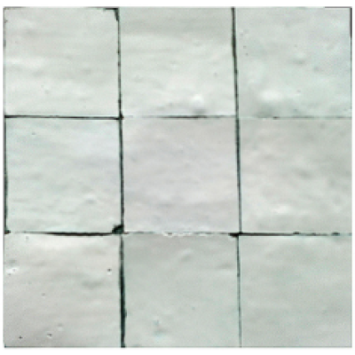 Z.N.0048